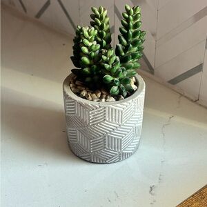 Geometric Patterned Planter with Faux Succulent